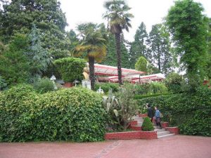 Botanik Ziraat Çay Bahçesi